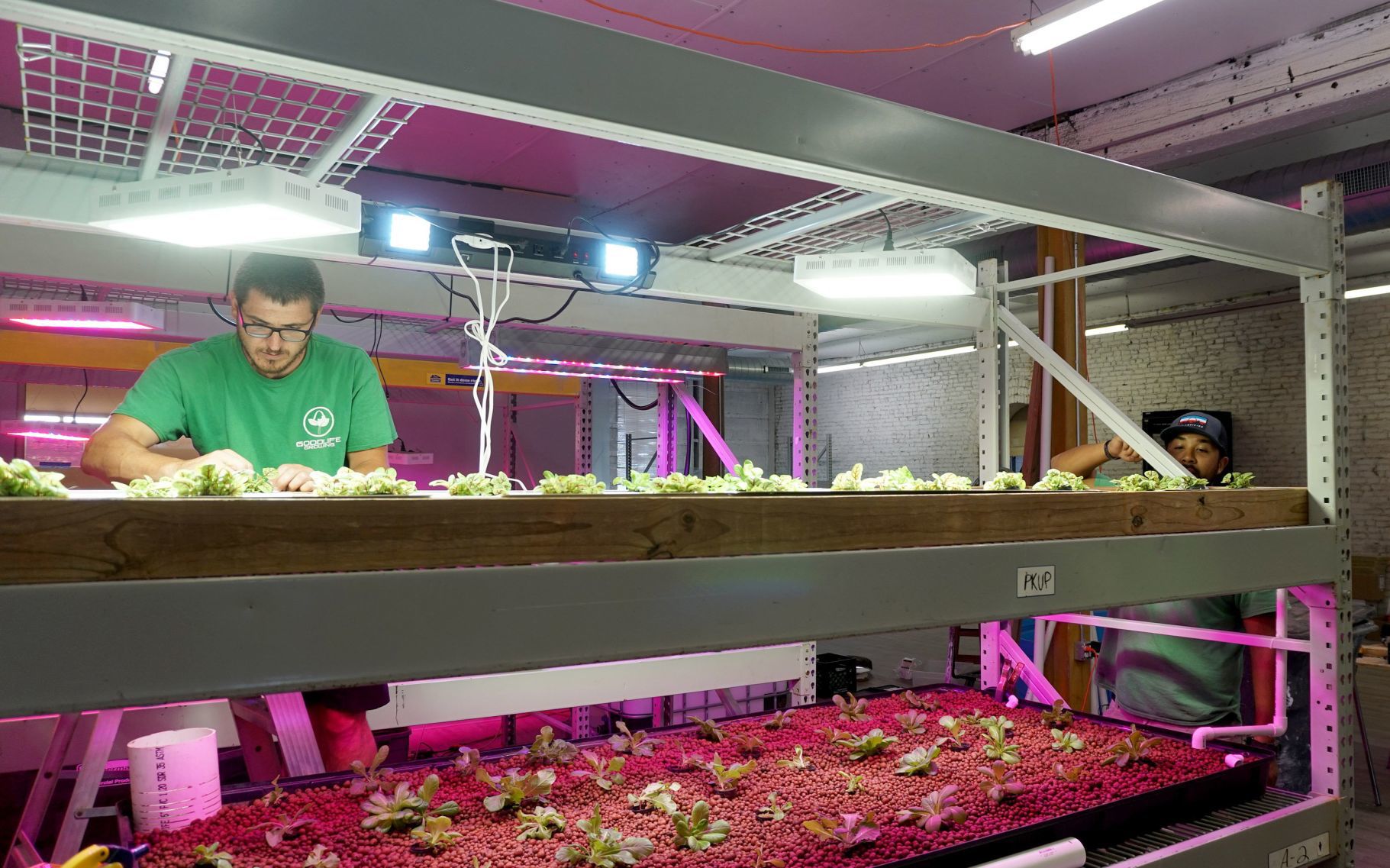 The Greencubator